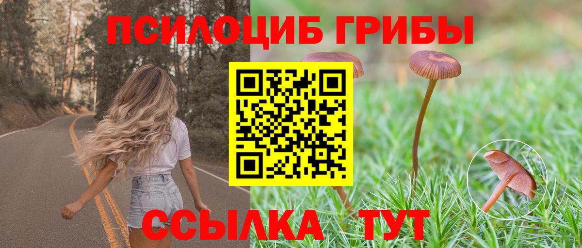Галлюциногенные грибы мицелий Дальнереченск