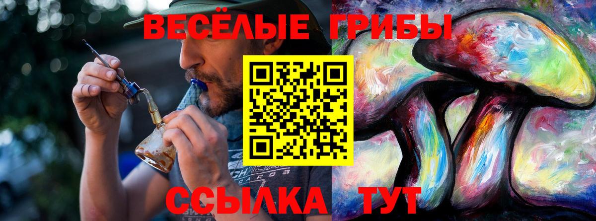 где найти   Галлюциногенные грибы MAGIC MUSHROOMS  Вход с VPN  Дальнереченск  Псилоцибиновые грибы ЛСД 